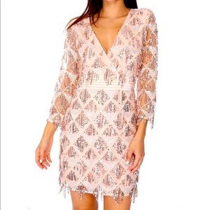 Shero Fringe Sequin Dress